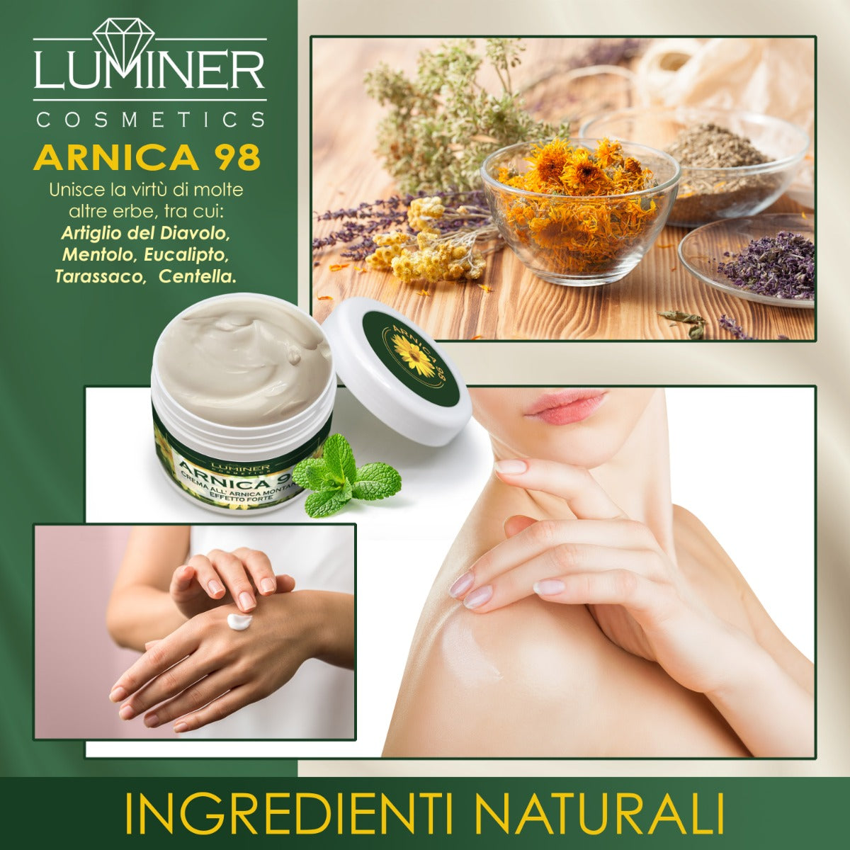 Arnica