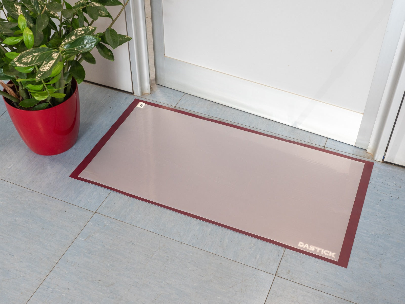 Tappetino Decontaminante Pro