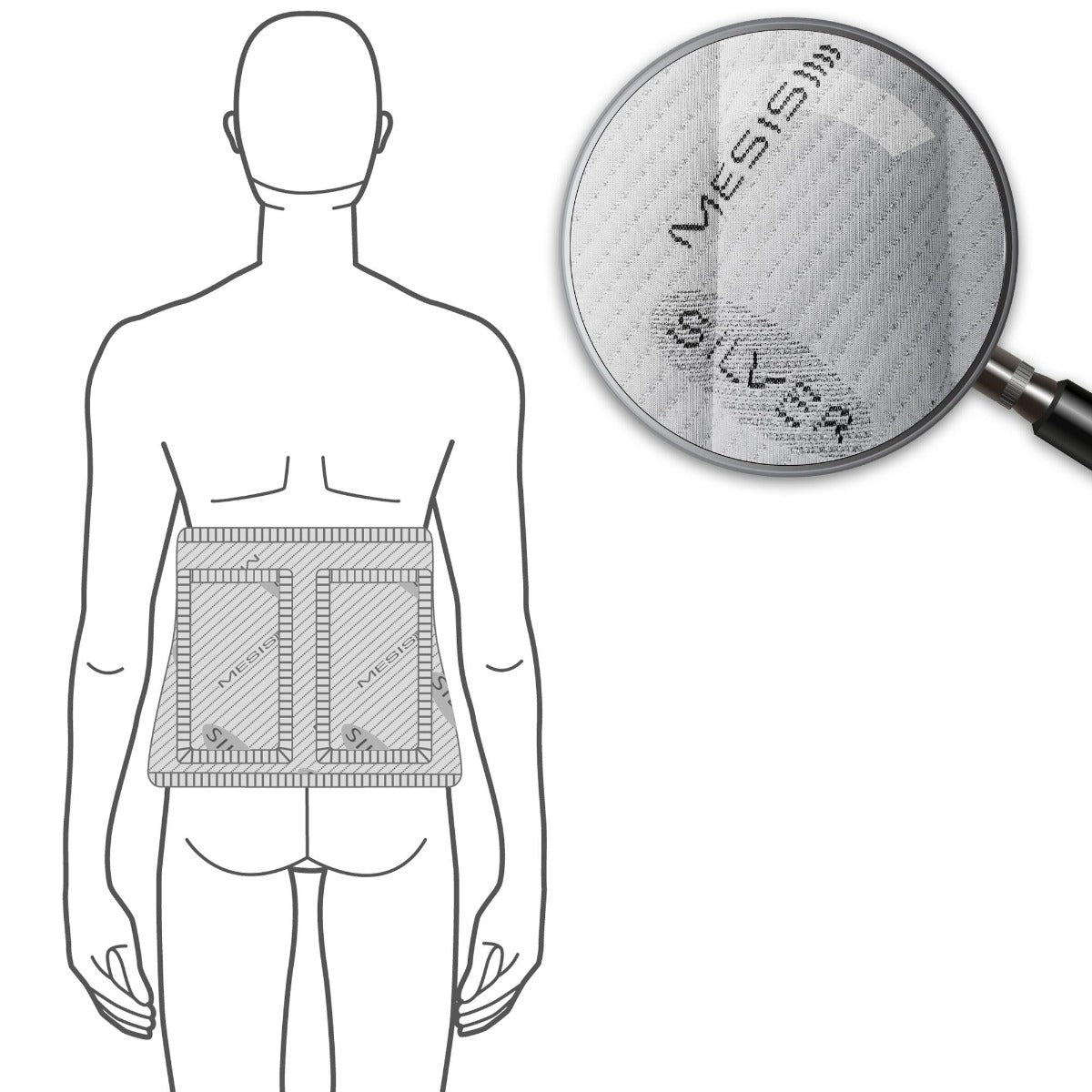 Fascia Lombare Renale