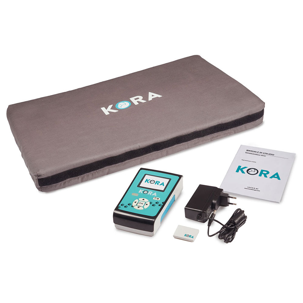 Kora