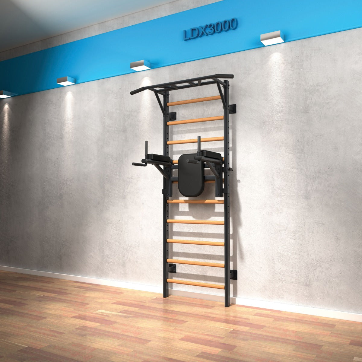 Dip Station per LDX 3000