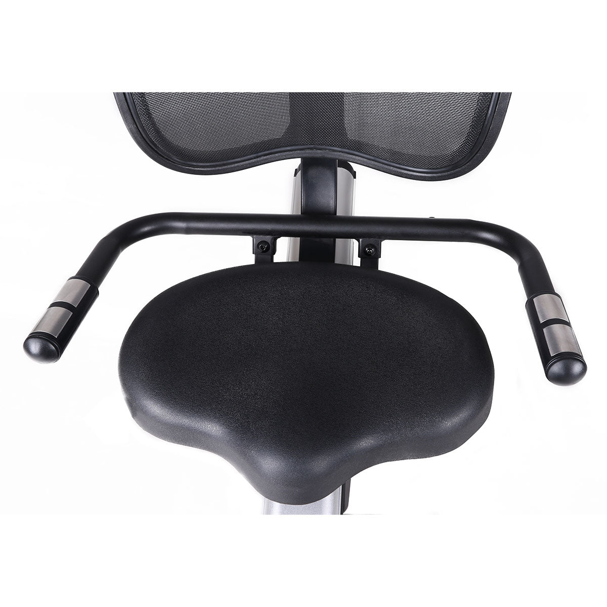 BRX Recumbent 300 ERGO